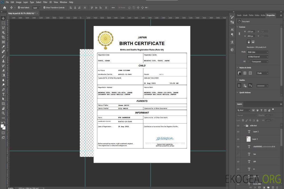 Modèle Word et PDF d'acte de naissance au Japon, entièrement modifiable template